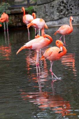 Zoo-37.jpg
