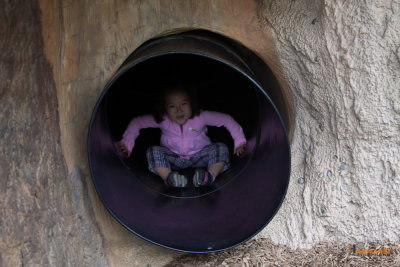 Zoo-49.jpg