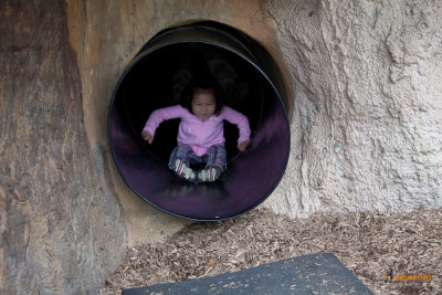 Zoo-50.jpg