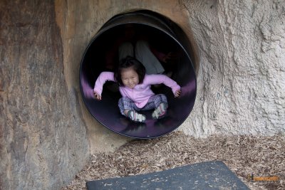 Zoo-51.jpg