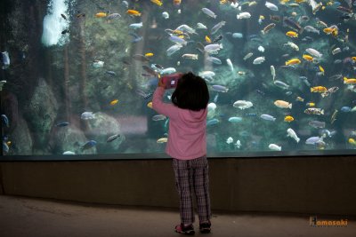 Zoo-8.jpg