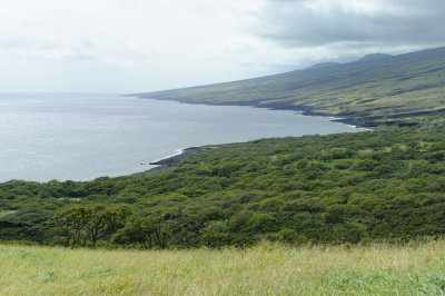 Hawaii 2011_5187.jpg