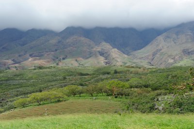 Hawaii 2011_5191.jpg