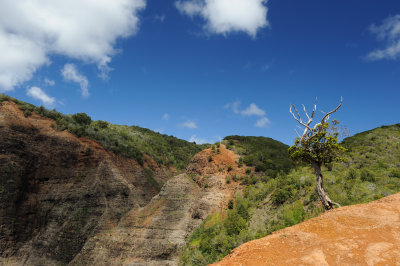 Hawaii 2011_5537.jpg