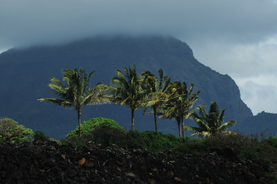 Hawaii 2011_5681.jpg