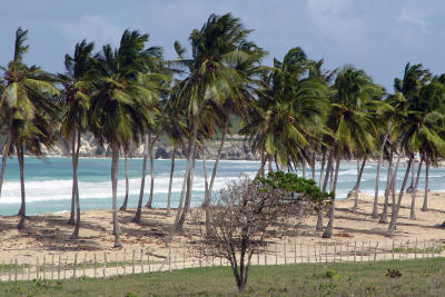 Punta Cana0001_32.JPG