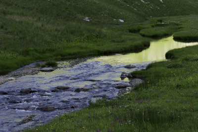 les serpentines se jettent dans le torrent