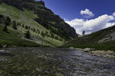 j'ai volé l'idée de cette photo à Lulu, j'avoue ....