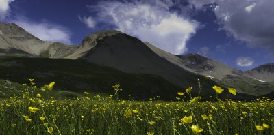 Sur une idée photo de Chouchou, ambiance