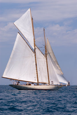 Les voiles d'Antibes . Edition 2006
