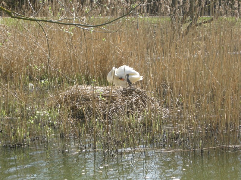DSCN1476.JPG