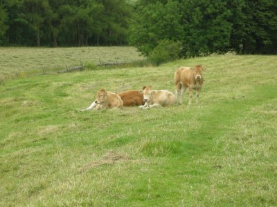 DSCN1328.JPG