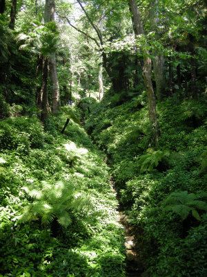 DSCN1519.JPG