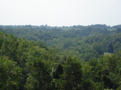 View of Cornfield from Pry House