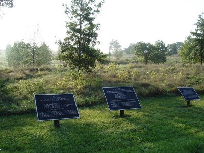 West side of North Woods; woods being restored