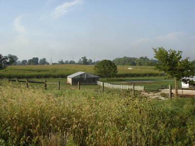 Cornfield from Miller farm