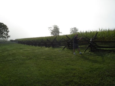 Cornfield from Hagerstown Road