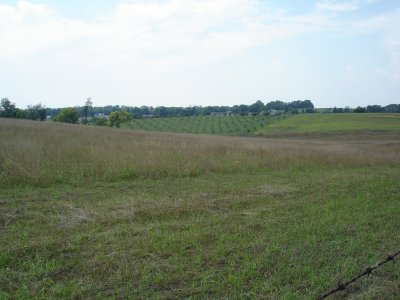 Piper Orchard from Sunken Road