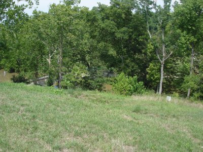 Burnside's Bridge from quarries