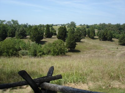 View of 40 acre cornfield, 16th conn. monument in center