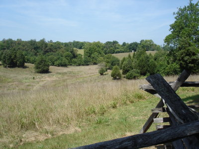 View north along 40 acre cornfield