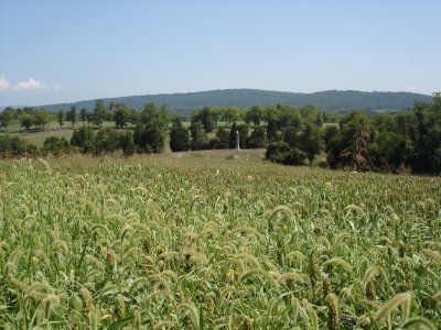 16th Conn. monument through 40 acre cornfield