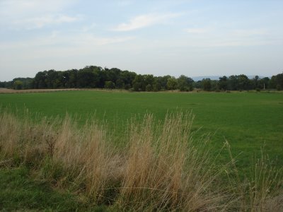 View from fallow Cornfield