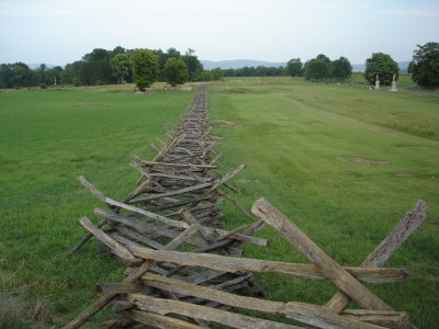 Cornfield, southern fence line