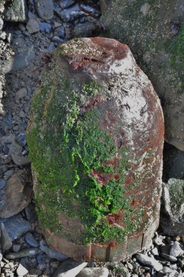 DSC_0017.JPG