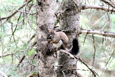 IMG_0974_1.jpg