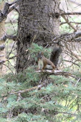 IMG_0978_1.jpg