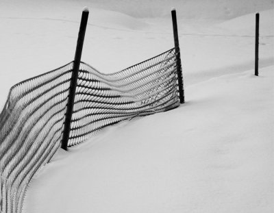 Fence in snow #3