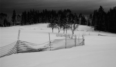 Fence in snow #7