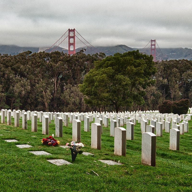 _DSC2931-33, HDR, Flowers, Tombstones & GG Bridge Towers, reduced.jpg