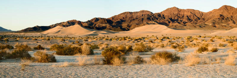 _DSC0005,0016, North Ibex Dunes, near Shoshone.jpg