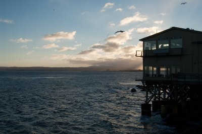 _DSC1536 Sunrise behind Forest Gumps in Monterey reduced.jpg