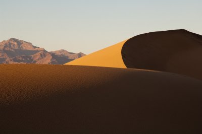 _DSC1374 Dune Study  reduced.jpg