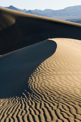 _DSC2005 Ying  Yang Pattern Dunes DV reduced.jpg