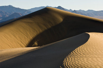 _DSC2008 Ying  Yang with Bush Dunes DV reduced.jpg