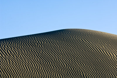_DSC2016 Sand Pattern on dunes DV reduced.jpg