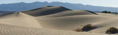 _DSC2049-2052 Dunes with a bush at sunrise reduced.jpg