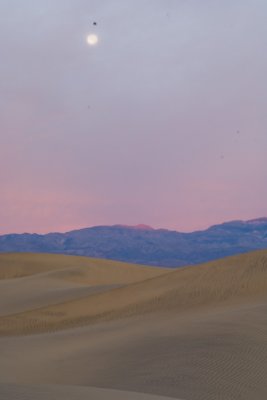 _DSC8104 Moon over Dunes at Sunrise Portrait reduced.jpg