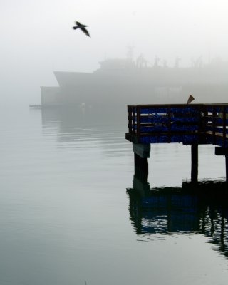 _DSC2827 Ghost Ship_Fishing Pier_Bird_Mission Bay_SF CA, reduced.jpg