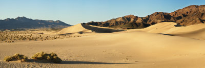 _DSC9930,9933,9940,9952,9962,9955, North Ibex Dunes near Shoshone, reduced.jpg