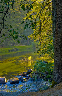 _DSC5659 Morning light on the Merced, 2007, reduced.jpg
