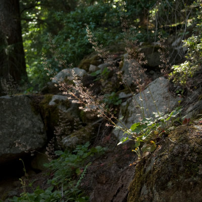 _DSC9954, reduced.jpg