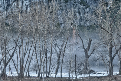 _DSC2208-10, HDR, Winter Bare Trees near Merced River, Yosemite, reduced.jpg