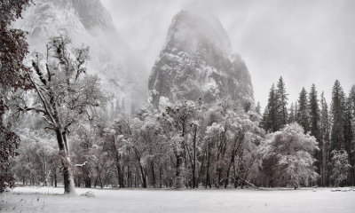 _DSC8061-66 Winter Oaks below the Three Brothers, 2500 x 1500, reduced.jpg