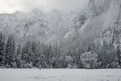 _DSC8199 Lkg SE across El Capitan Meadow after a snowfall, reduced.jpg