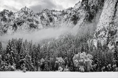 _DSC8235, Lkg SE across El Capitan Meadow in Winter, reduced.jpg